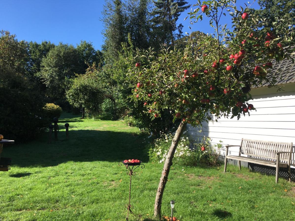 Natuurhuisje Heerlijkheid Beek Berg en Dal Exteriér fotografie